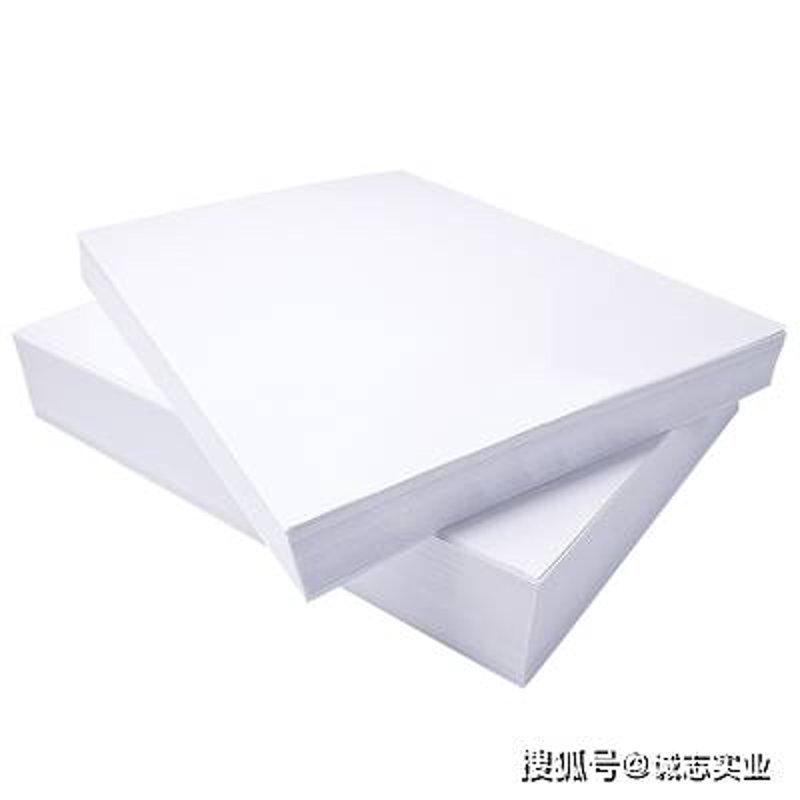 纸业风向标:丰泰公司如何引领行业潮流